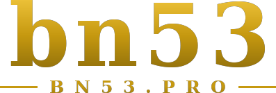bn53 logo